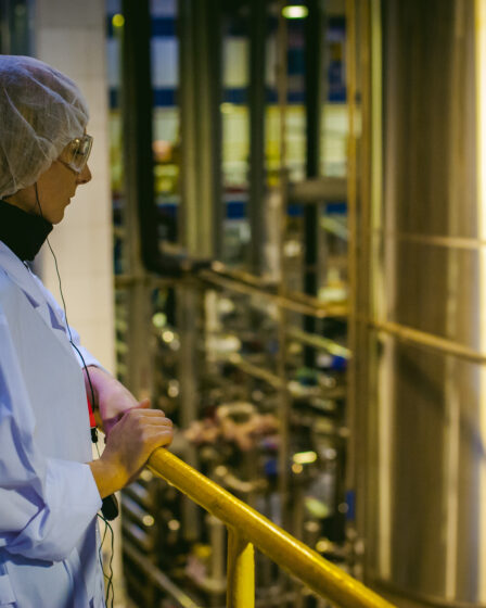 Serviço de transesterificação: soluções industriais de alta performance