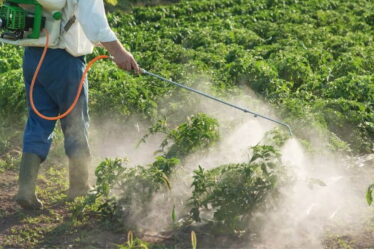 Fornecedor de agroquímicos: terceirize moagem e mistura com segurança 