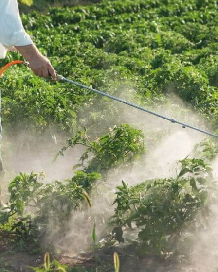 Fornecedor de agroquímicos: terceirize moagem e mistura com segurança