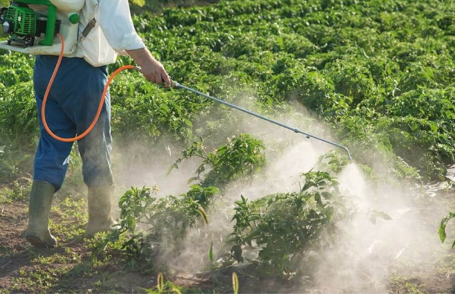 Fornecedor de agroquímicos: terceirize moagem e mistura com segurança 